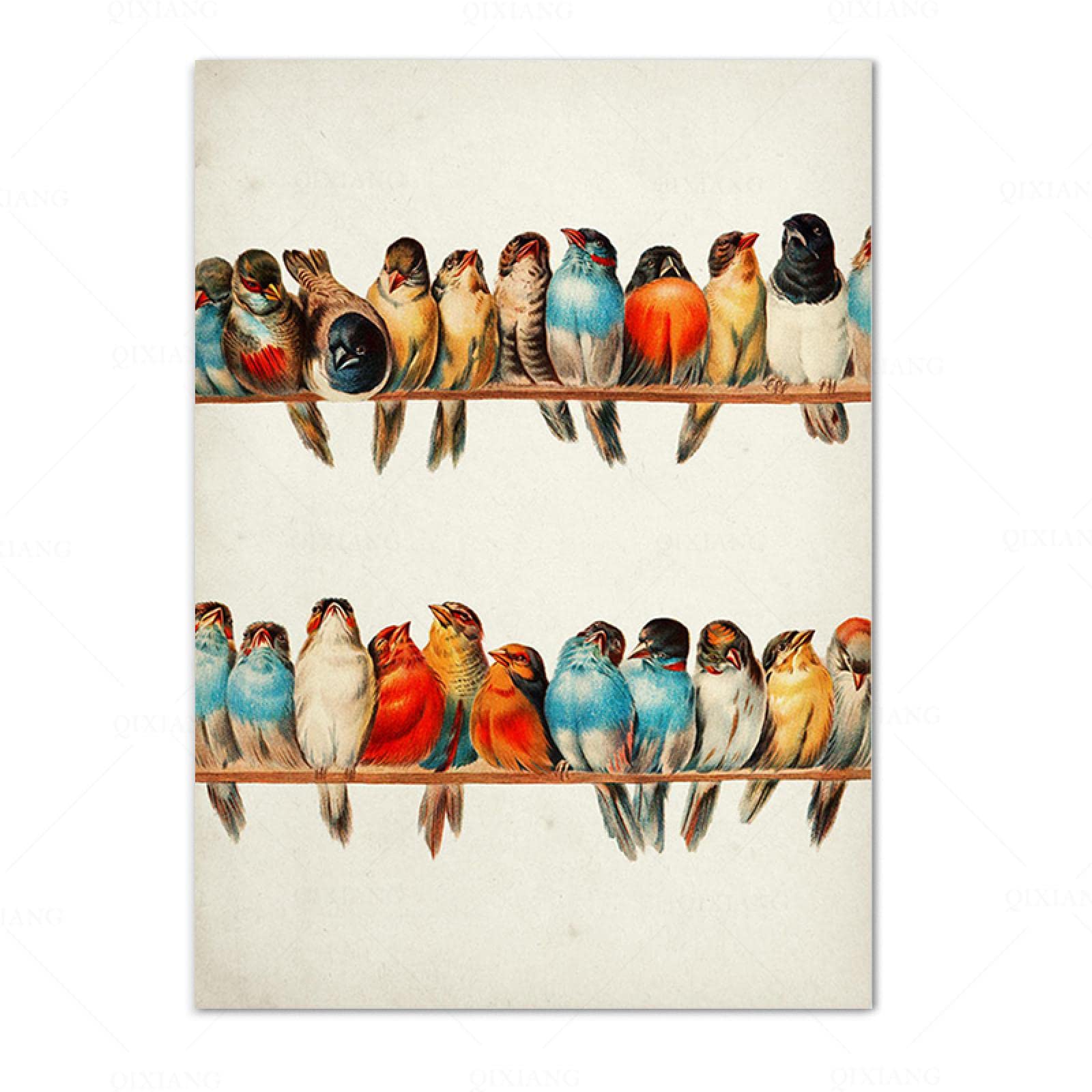 Amazon.co.jp: ヴィンテージ鳥ポスターレトロ壁アートカラフルな